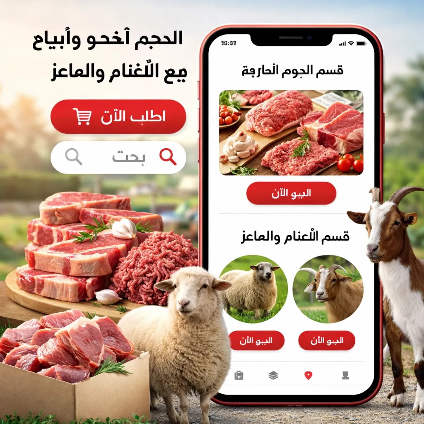 تطبيق ذبائح بيع اللحوم والأغنام | بيع وشراء الأغنام واللحوم الطازجة
